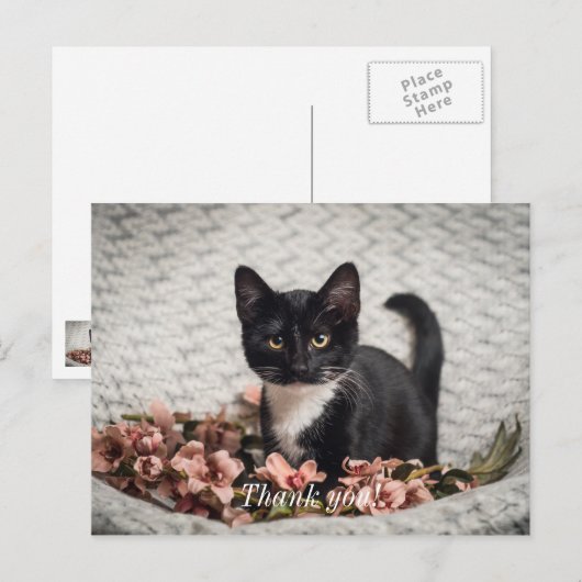 Mooi Bella Rose Dank je Postkaart (Voorkant / Achterkant)