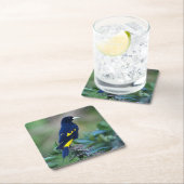 Mooi blauw en gele vogel kartonnen onderzetters (Insitu)