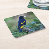 Mooi blauw en gele vogel kartonnen onderzetters (Schuin)