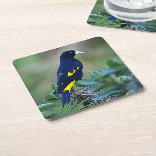 Mooi blauw en gele vogel kartonnen onderzetters (Schuin)