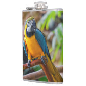 Mooi blauw en Gold Macaw Heupfles (Links)