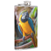 Mooi blauw en Gold Macaw Heupfles (Rechts)