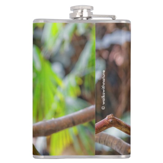 Mooi blauw en Gold Macaw Heupfles (Achterkant)