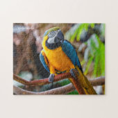 Mooi blauw en Gold Macaw Legpuzzel (Horizontaal)