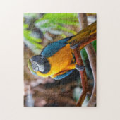 Mooi blauw en Gold Macaw Legpuzzel (Verticaal)