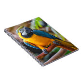 Mooi blauw en Gold Macaw Notitieboek (Rechterzijde)
