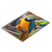Mooi blauw en Gold Macaw Notitieboek (Linkerzijde)