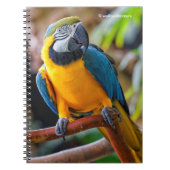 Mooi blauw en Gold Macaw Notitieboek (Voorkant)