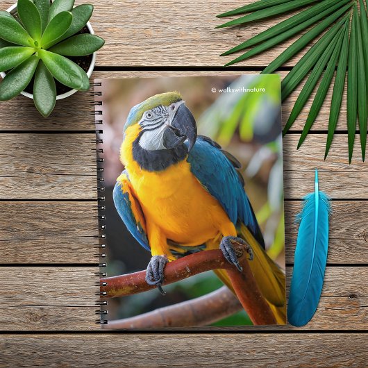 Mooi blauw en Gold Macaw Notitieboek