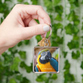 Mooi blauw en Gold Macaw Sleutelhanger (Hand)