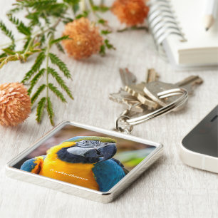 Mooi blauw en Gold Macaw Sleutelhanger