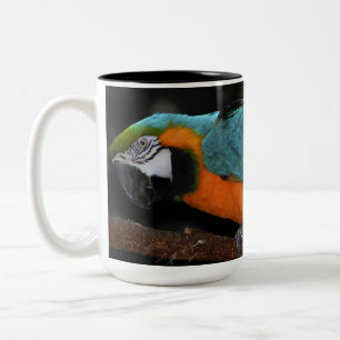 Mooi blauw en Gold Macaw Tweekleurige Koffiemok