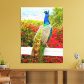 Mooi Blauw Groen Peacock Foto Modern Stijlvol Canvas Afdruk (Insitu (Woonkamer))