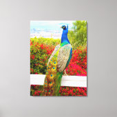 Mooi Blauw Groen Peacock Foto Modern Stijlvol Canvas Afdruk (Voorkant)