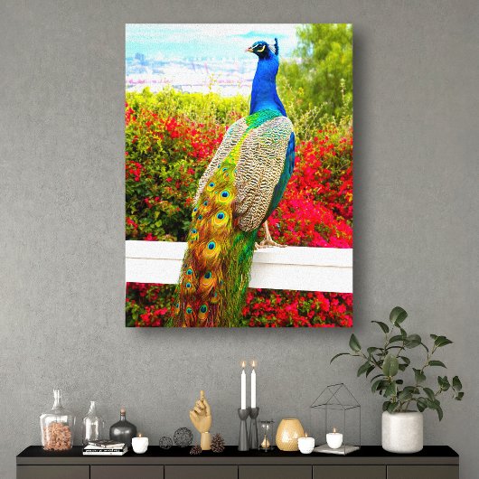 Mooi Blauw Groen Peacock Foto Modern Stijlvol Canvas Afdruk