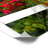 Mooi Blauw Groen Peacock Foto Stijlvol Modern Poster (Hoek)