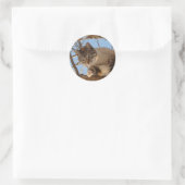 Mooi blauw Kat Ronde Sticker (Tas)