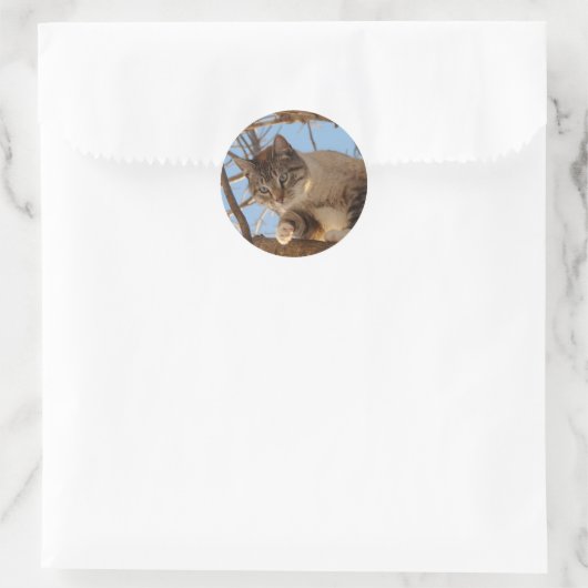 Mooi blauw Kat Ronde Sticker (Tas)