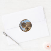 Mooi blauw Kat Ronde Sticker (Envelop)