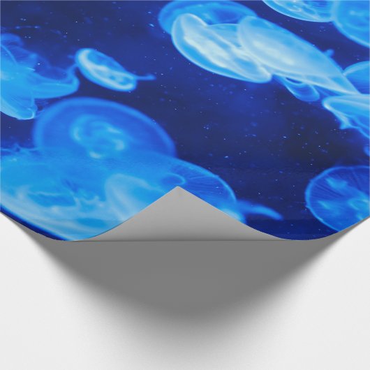 Mooi blauw kwal cadeaupapier (Hoek)