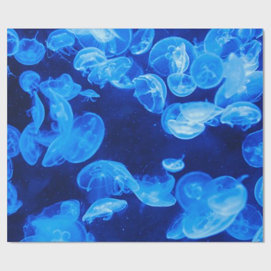 Mooi blauw kwal cadeaupapier (Vlak)