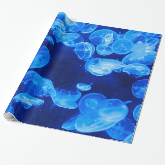 Mooi blauw kwal cadeaupapier (Uitgerold)
