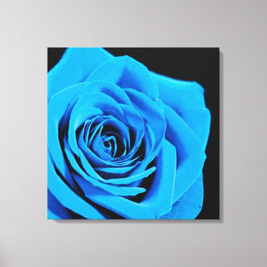 Mooi blauw roos canvas afdruk (Voorkant)