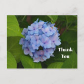 Mooi Blauw Roze Hortensia Bloemen Foto Bedankt Briefkaart (Voorkant)
