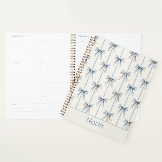Mooi blauwe linten en strepen planner (Display)