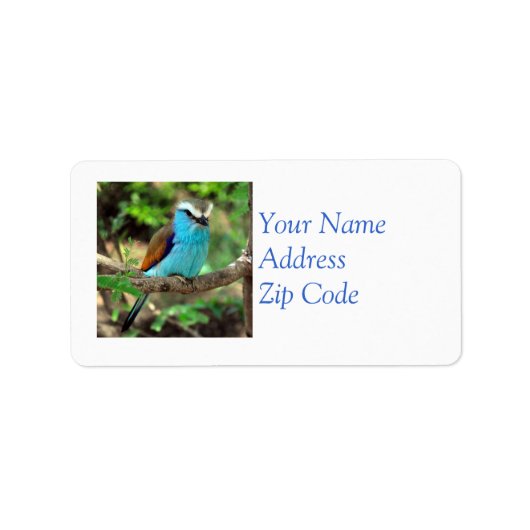 Mooi Bluebird Mailing Label (Voorkant)