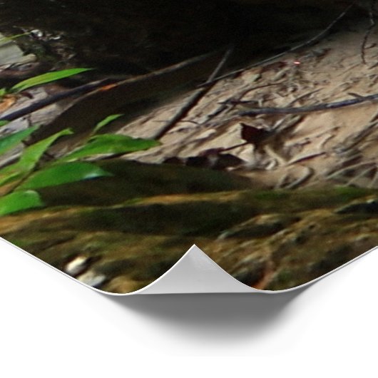 Mooi bos poster (Hoek)