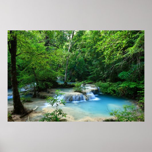 Mooi bos poster (Voorkant)