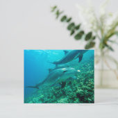 Mooi Briefkaart (Staand voorkant)