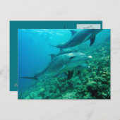 Mooi Briefkaart (Voorkant / Achterkant)