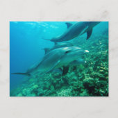 Mooi Briefkaart (Voorkant)