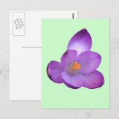 Mooi Briefkaart (Voorkant / Achterkant)