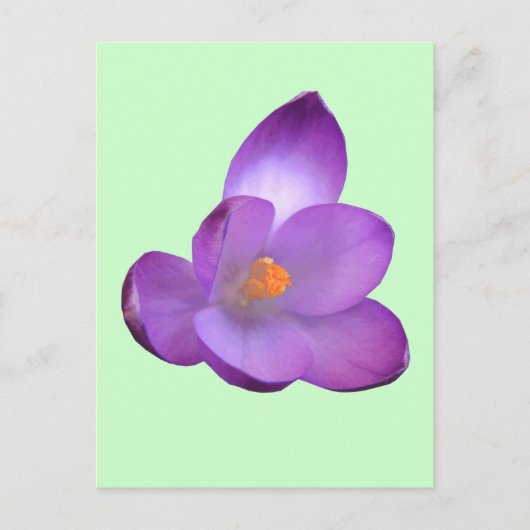 Mooi Briefkaart (Voorkant)
