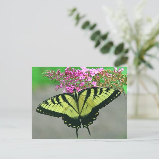 Mooi Briefkaart 6 van de Vlinder van Swallowtail (Staand voorkant)