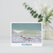 Mooi briefkaart Clearwater Beach Florida (Staand voorkant)