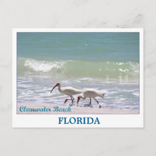 Mooi briefkaart Clearwater Beach Florida