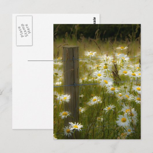 Mooi Briefkaart op grote dagen (Voorkant / Achterkant)