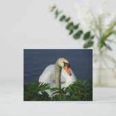Mooi Briefkaart Swan DIY (Staand voorkant)