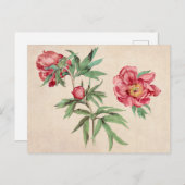 Mooi  Briefkaart van Botanische Illustratie (Voorkant / Achterkant)