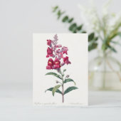 Mooi Briefkaart van Botanische Illustratie (Staand voorkant)