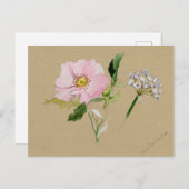 Mooi Briefkaart van Botanische Illustratie (Voorkant / Achterkant)
