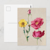 Mooi Briefkaart van Botanische Illustratie (Voorkant / Achterkant)