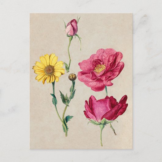 Mooi Briefkaart van Botanische Illustratie (Voorkant)