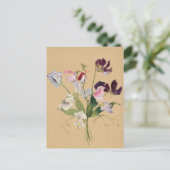 Mooi  Briefkaart van Botanische Illustratie (Staand voorkant)