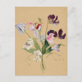 Mooi  Briefkaart van Botanische Illustratie (Voorkant)