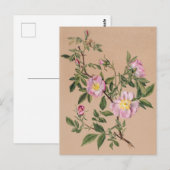 Mooi  Briefkaart van Botanische Illustratie (Voorkant / Achterkant)